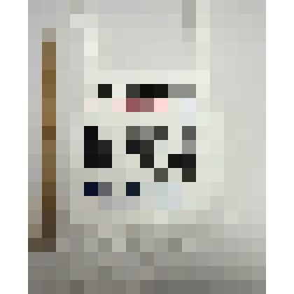 Номер стартовый 6704 FINLANDIA HIIHTO Лобынцева Николая Яковлевича