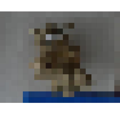 Окаменелости ракушечика