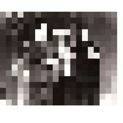 черно-белая фотография