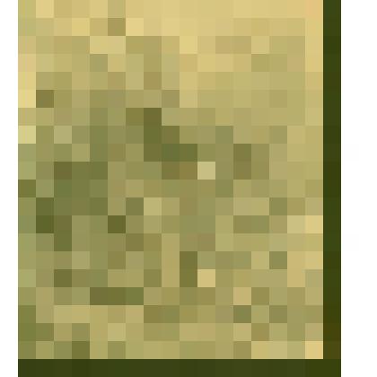 Эскиз иллюстрации к произведению М.Ю. Лермонтова - Сторож у ограды