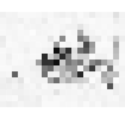 Рисунок. Маркиз и маркиза