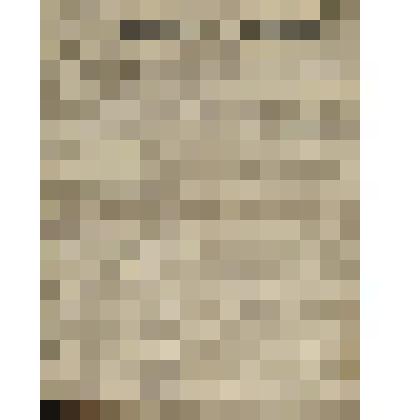 Газета. Русское знамя. № 239 (2 л.;)