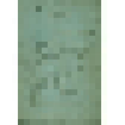 Опись  имущества  Городищенской  Иоанно-Предтеченской  церкви  за 1813 г