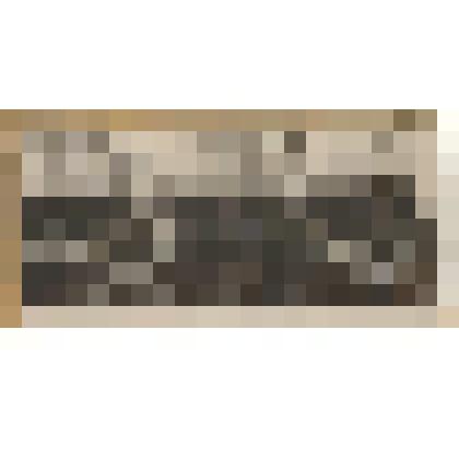 Фотография. VIII губернский съезд работников просвещения, 1925 г