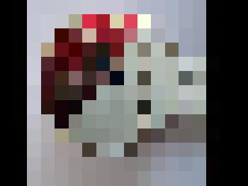 Значок "Спорт СССР"