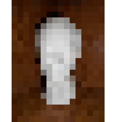 Скульптурный портрет искусствоведа Оли Говдя