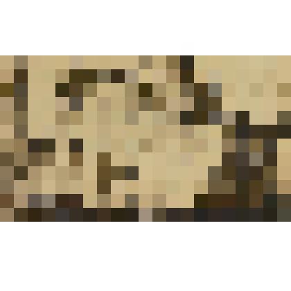 Монотипия. Соловки