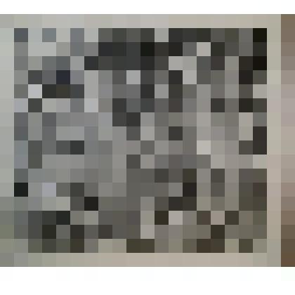 Натюрморт. Сибирская смородина