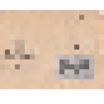 Фотонегатив репродукционный. "Мускусный бык и зубро-бизон"