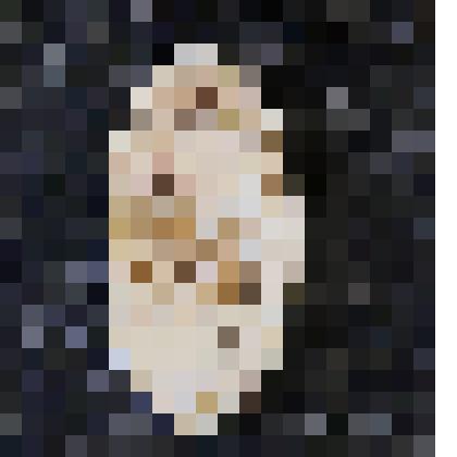 Кулон  Волк в лесу