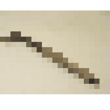 Лапа сапожная