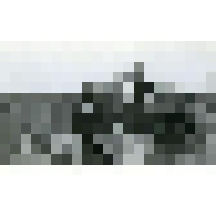 Фотография. Вывоз картофеля с поля