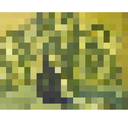 Картина. Черемуха