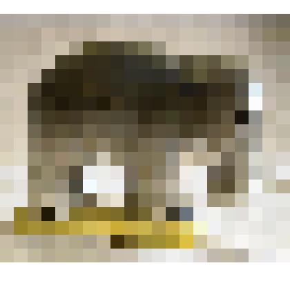 Скульптура (статуэтка) фарфоровая. Слон