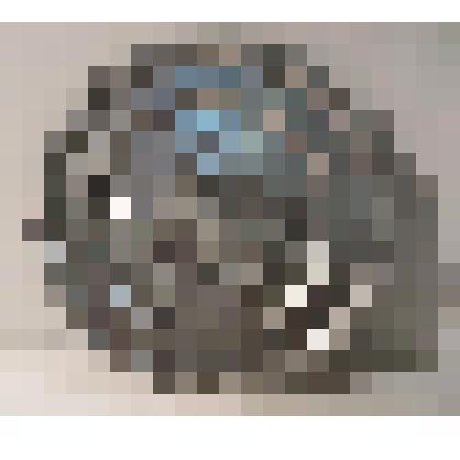 Тарелка декоративная с рельефным изображением охотничьей собаки