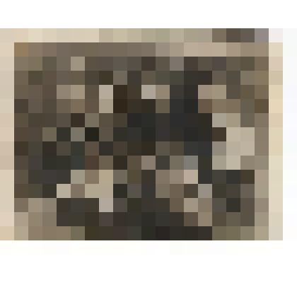 Ф/чб. Выпускной класс неполной средней школы № 25 г. Энгельс (2 ря 3 слева Сиротина Ксения). Весна 1938