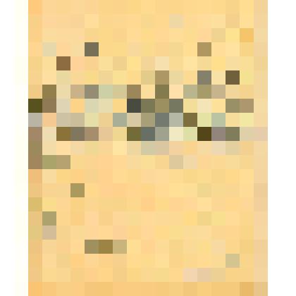 Воспоминания о партизанском отряде Низовцева Леонида Петровича