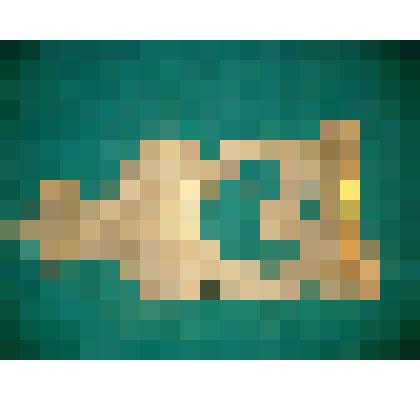 Деталь резная подстрешной доски с казачьего дома