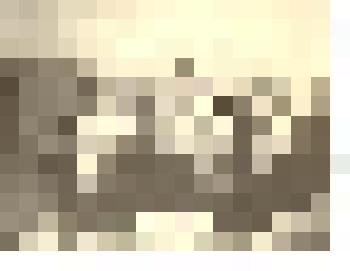 Фотография: традиционный сбор старейших учителей г.Камень-на-Оби и Каменского округа в Новосибирске в квартире Бурдакова и Касавиной