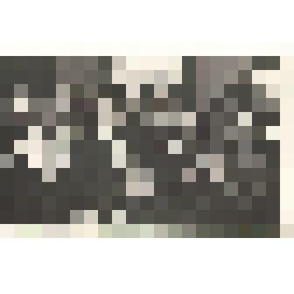 Фотографии. Фото. Шушеначев И.В. (в первом ряду первый слева) на сессии Абаканского горсовета народных депутатов