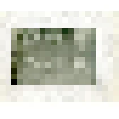 Фотография. Тунгусский жертвенник на р. Олекме