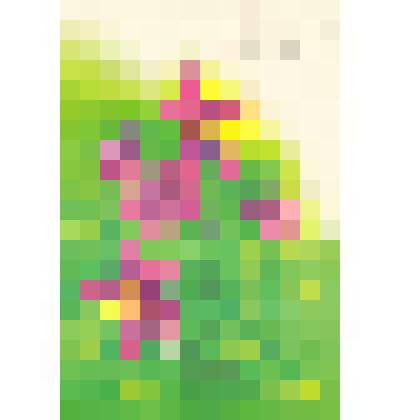 Открытка «С праздником 8 Марта!»