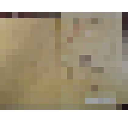 Трудовая книжка "Трудовая книжка Самодурова И.П."