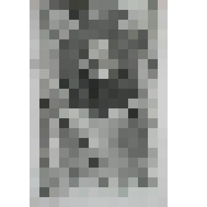 Портрет сэра Эдварда Кока [Кука], Лорда - [главного] юриста королевы Елизаветы I