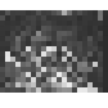 Аэрофотосъемка Петергофа в 1948 г. Вид на разрушенный Большой дворец со стороны Верхнего парка