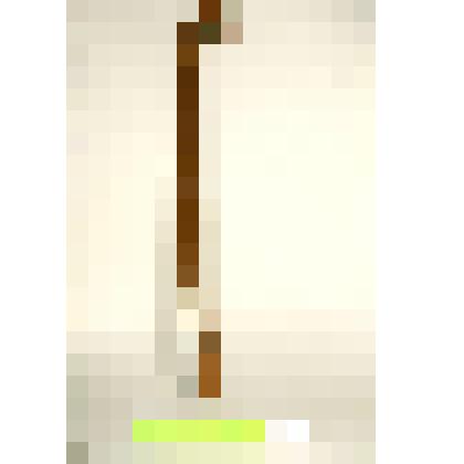 Трость Л.Н.Толстого, выточенная из ствола яблони