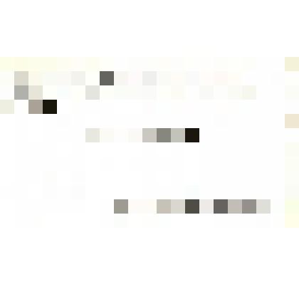 Документ. Визитная карточка Нобуо Исимори. Печать