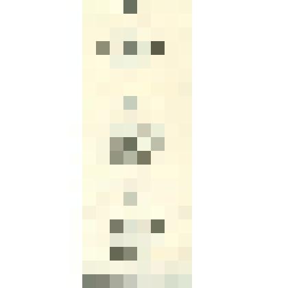 Талон продуктовый