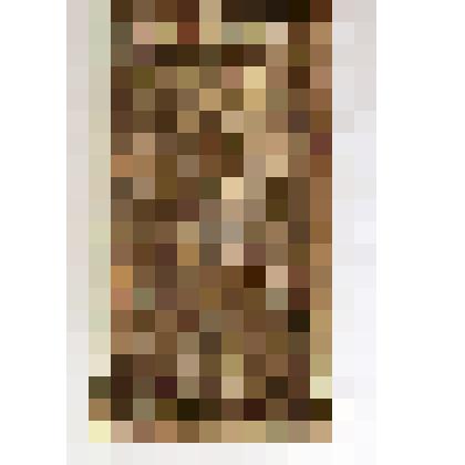 Дверца печная