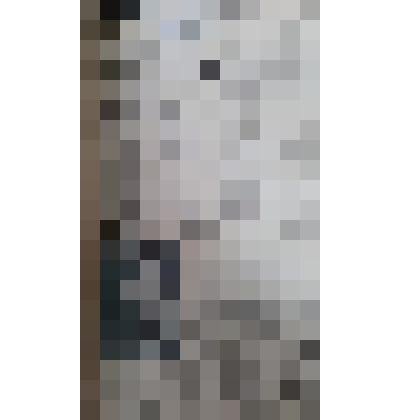 Газета "Адлерская правда"
№88 (3204) от 22.07.1960 г