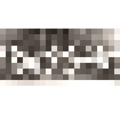 черно-белая фотография коллективная