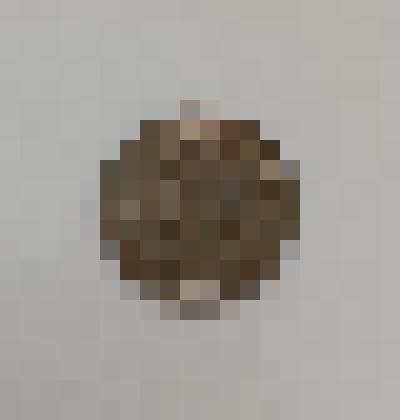 Монета 15 копеек 1951 года. СССР