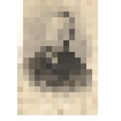 Фотография. Емельянов Ф.П., капитан, 1-й военком города, 14.05.1942