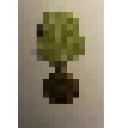 Медаль «За оборону Ленинграда»