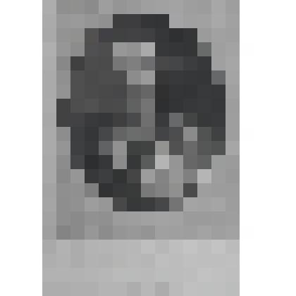 Портрет фельдмаршала