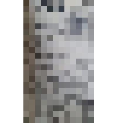 Газета "Адлерская правда"
№100 (3372) от 20.08.1961 г