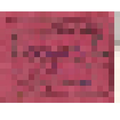 Мандат №38 Бариновой Алефтины Алексеевны об избрании делегатом на XI Каменскую городскую конференцию КПСС от первичной парторганизации колхоза имени Чапаева