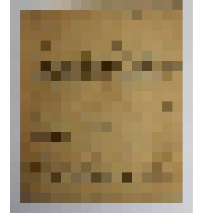 Письмо Музалевской А. И. от Музалевского П. С