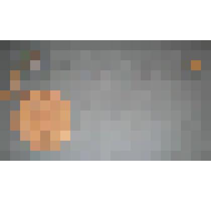 Весы с одной чашей