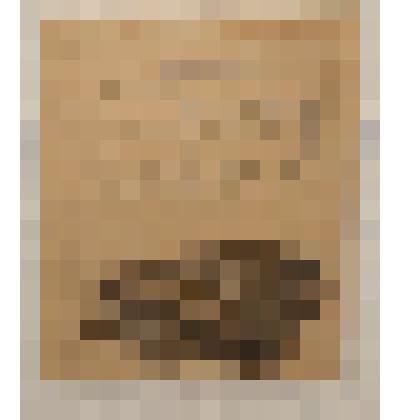 Письмо "воинское" от Мандельштама Е.Э