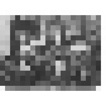 Фотография. Учащиеся школы комбайнеров в 1937 году