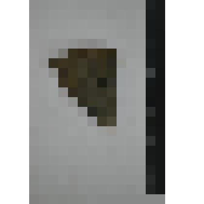 Сосуд. Фрагмент