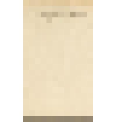 Описание Окна ТАСС № 1466 «150 лет со дня смерти П.А. Румянцева» (в свет не вышел)