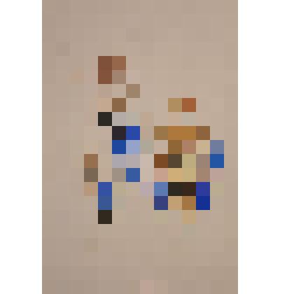 Пчела и муха