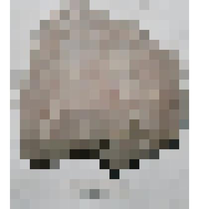 Кристалл розового кальцита