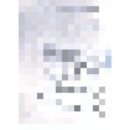 Фотокопия ходатайства Его Высокопревосходительству Господину Министру Внутренних дел от каменских купцов о преобразовании села Камень в город